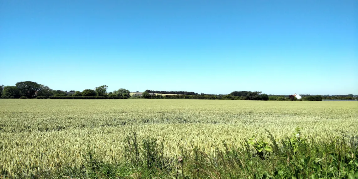 Photo a farm field with a blue sky in the background taken in the summer of 2018